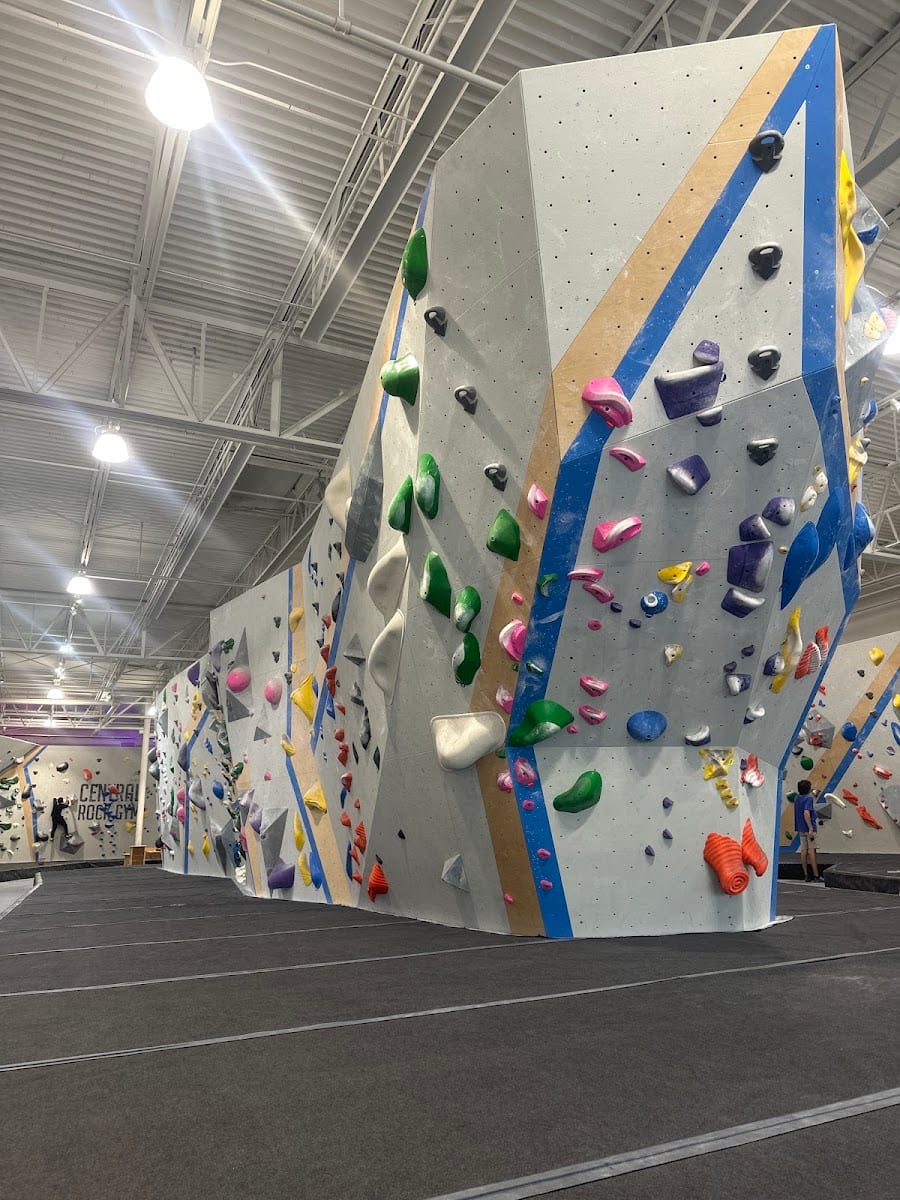 Central Rock Gym - Tampa, photo 4