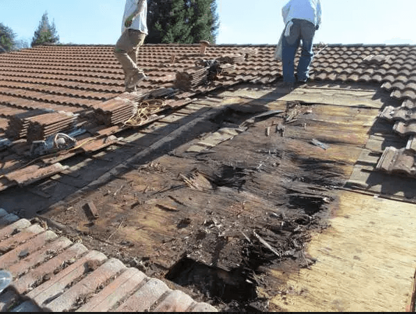 The Last Detail Roofing