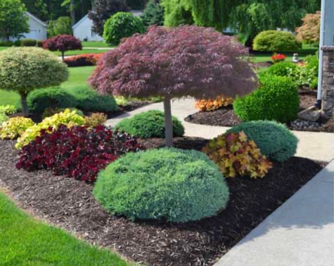 Kinard Lawn Care LLC, photo 3