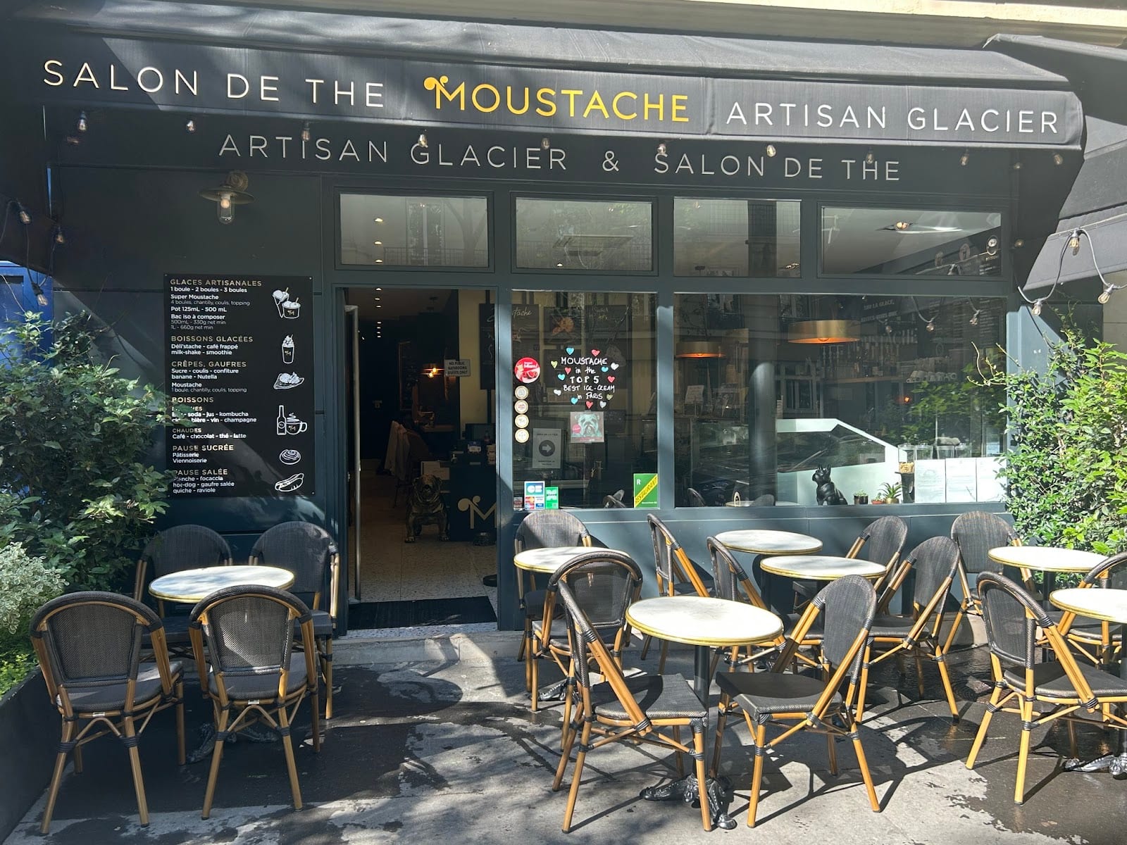 Glaces Moustache-Artisan Glacier, photo 2