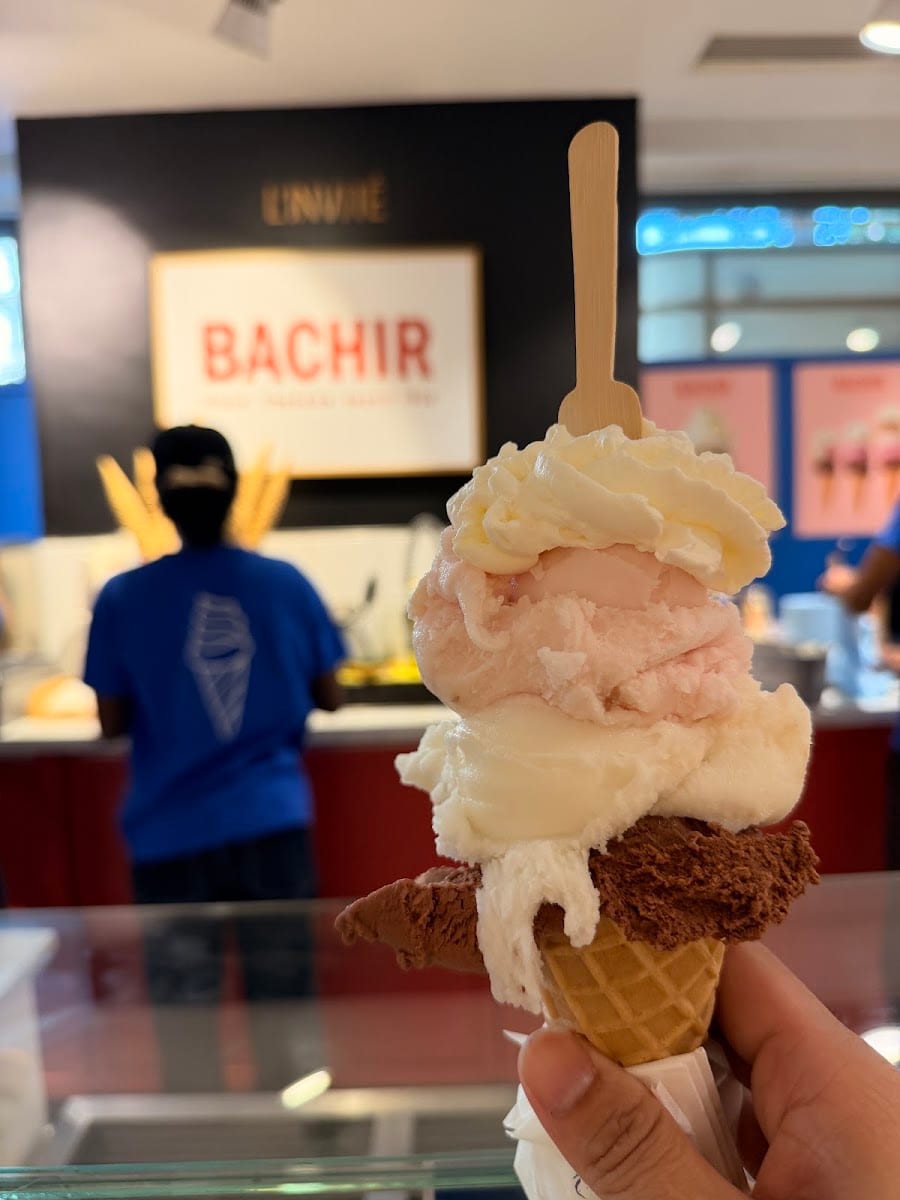 Bachir Glace, photo 3