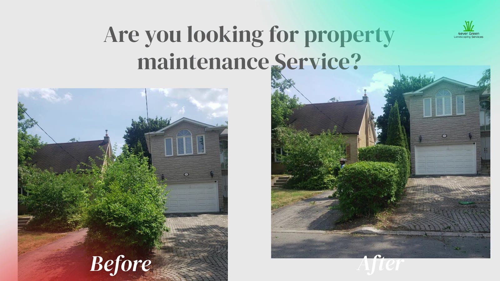 4ever Green Landscaping Services Ltd, photo 3