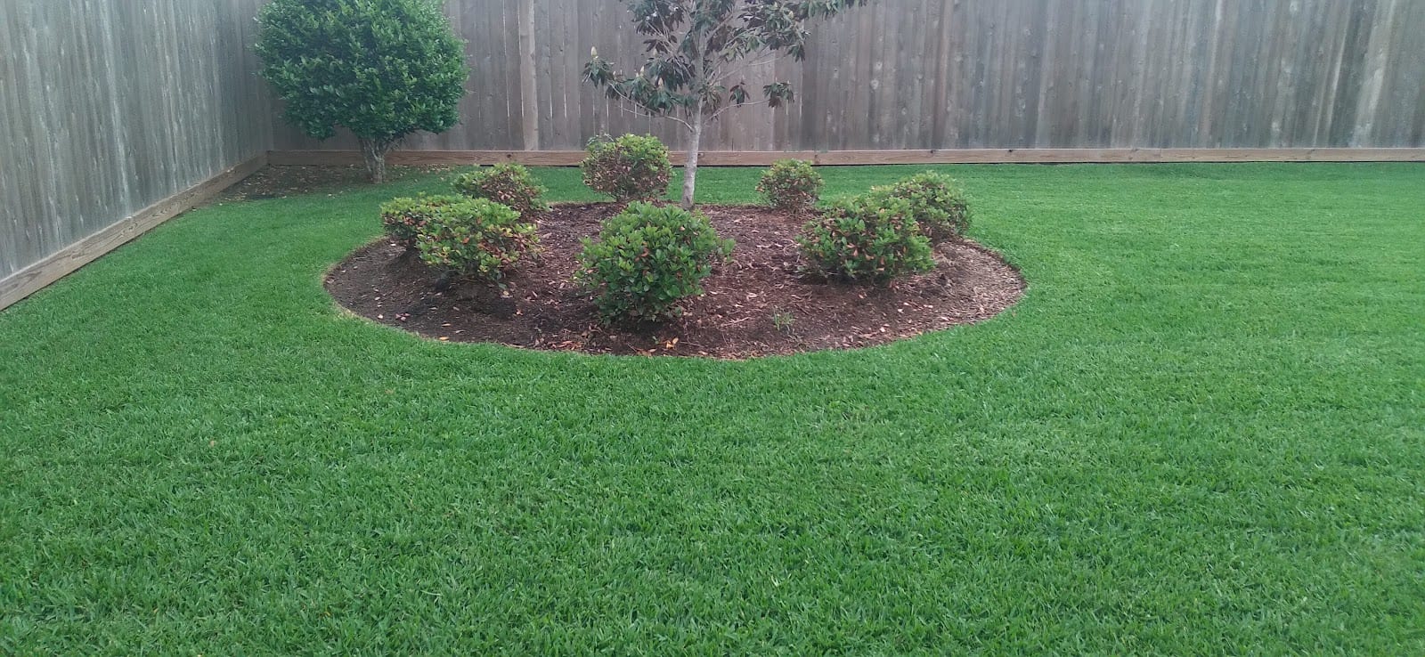 Credentials Lawn Maintenance, photo 3