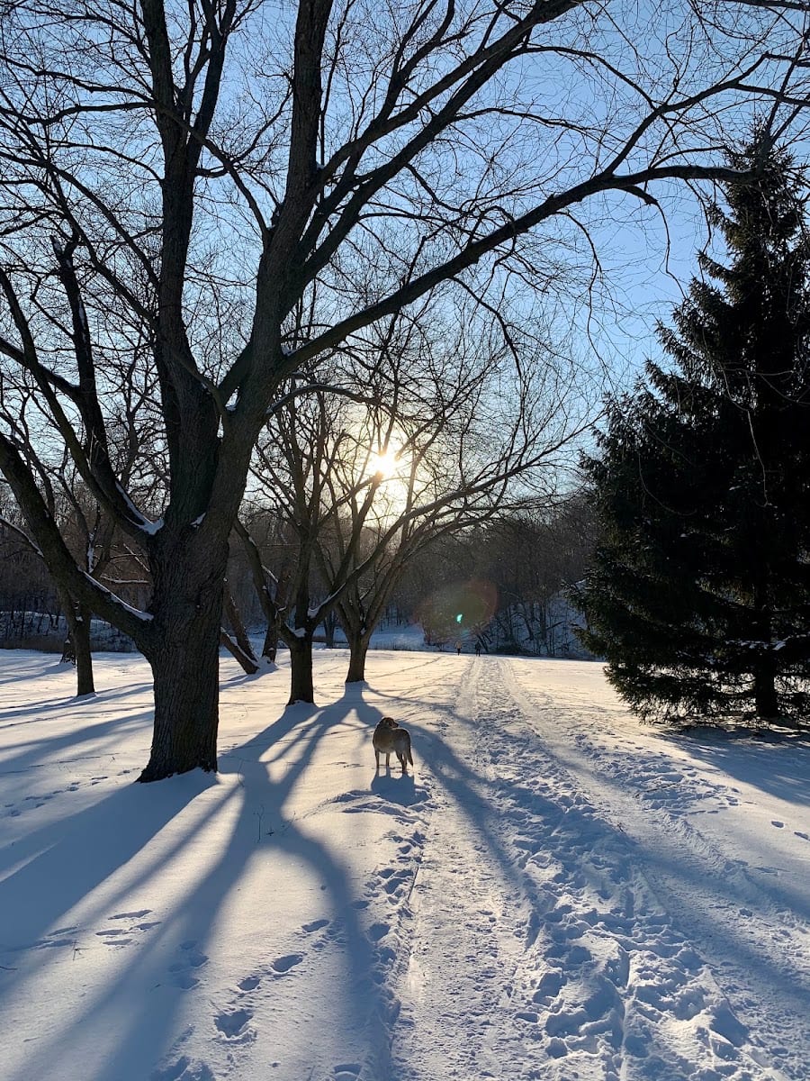 Sunnybrook Dog Park, photo 3