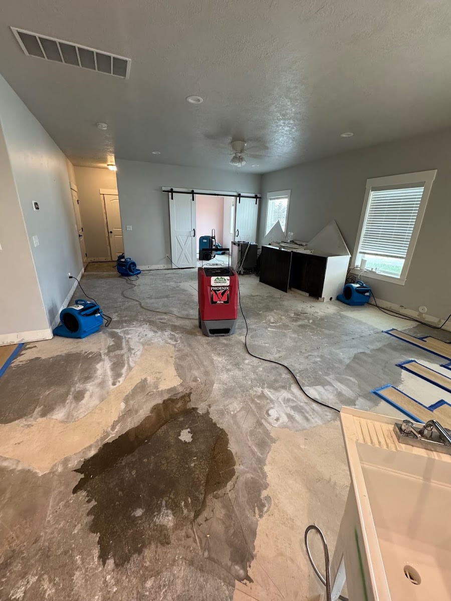 Alpine Cleaning & Restoration Specialists, photo 3