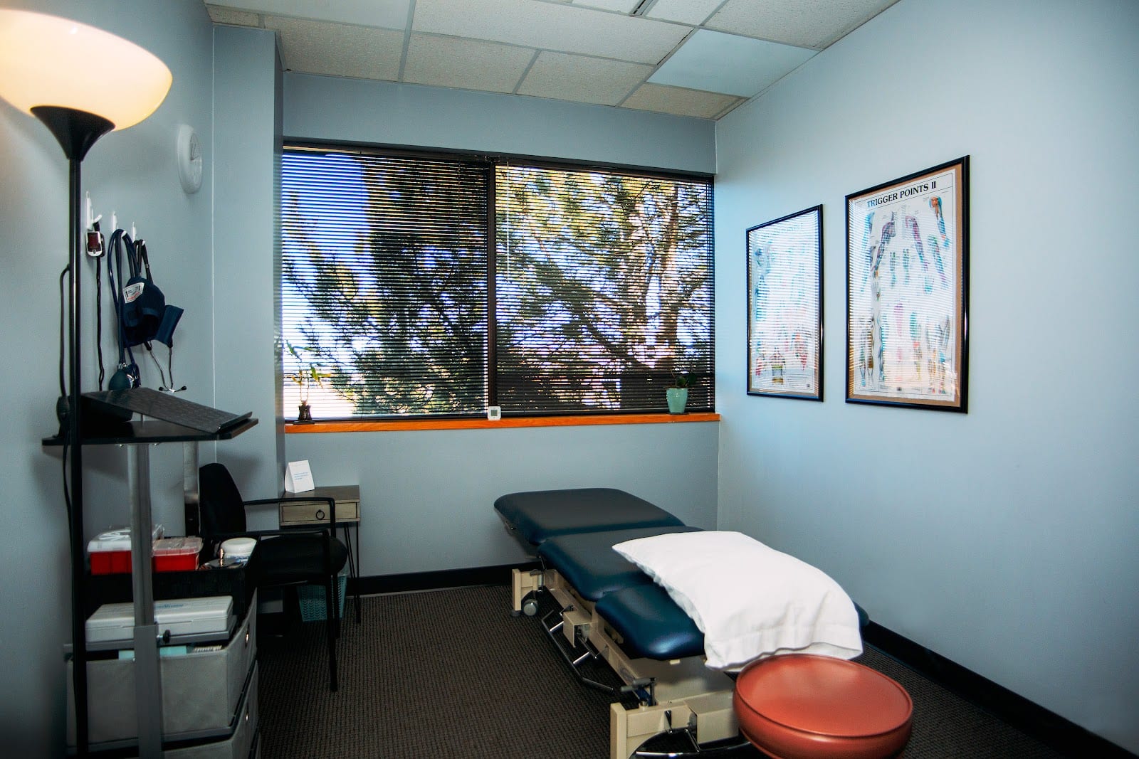 Back In Step Physical Therapy, photo 3