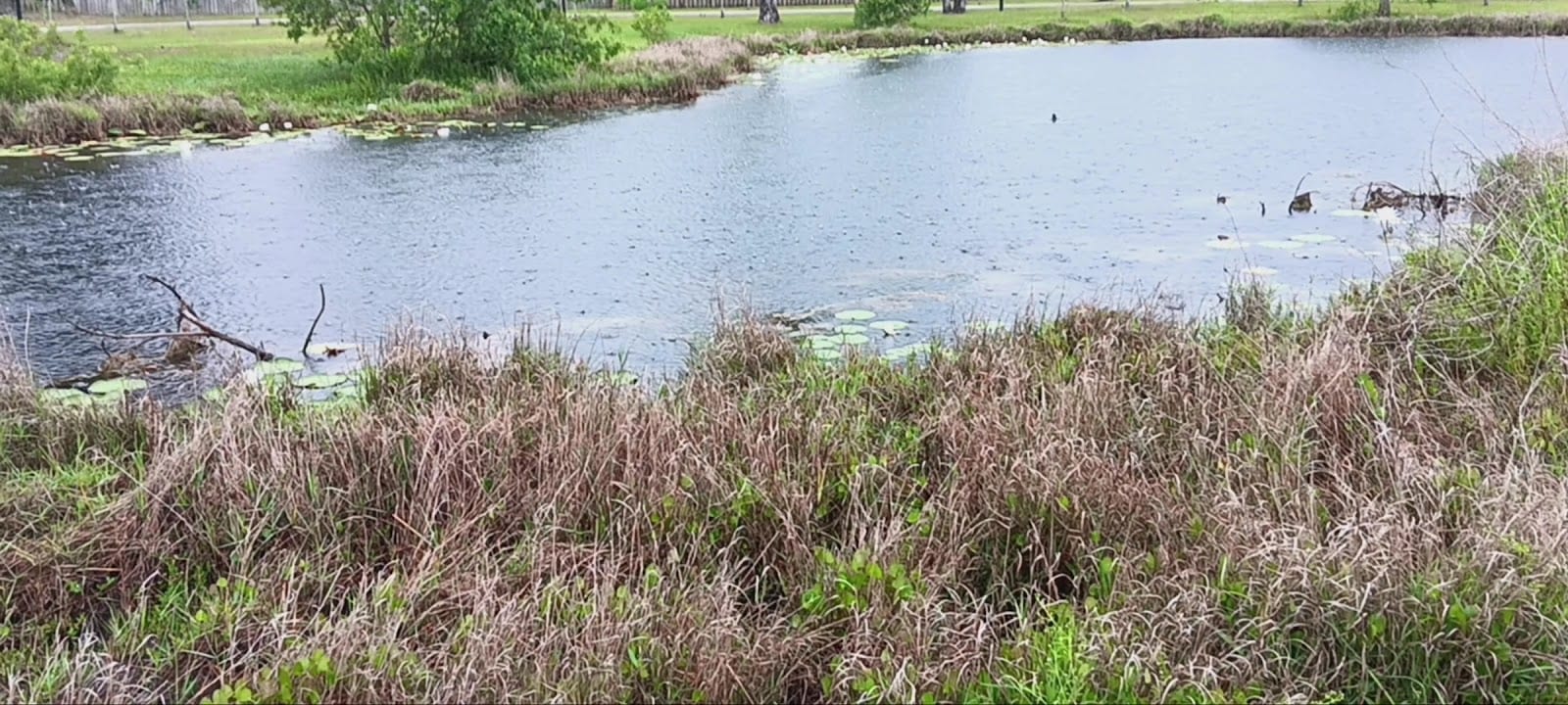 Mathis Walking Park, photo 2