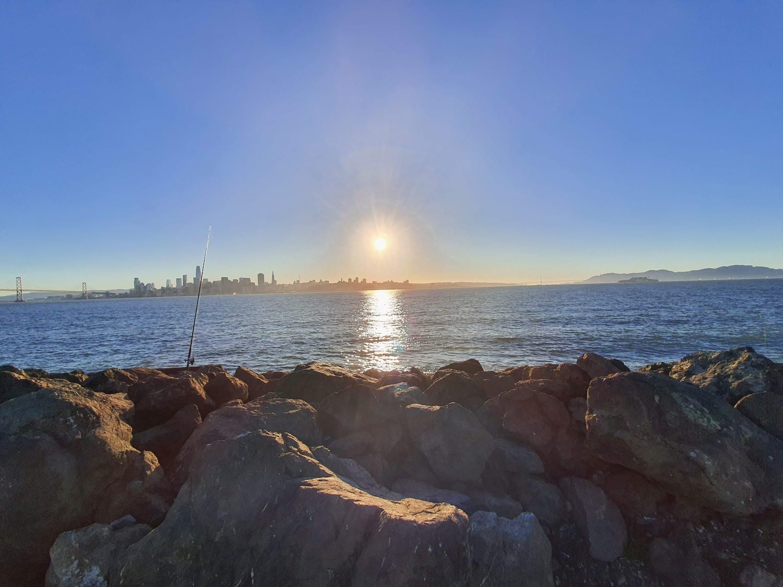 Treasure Island Dog Park