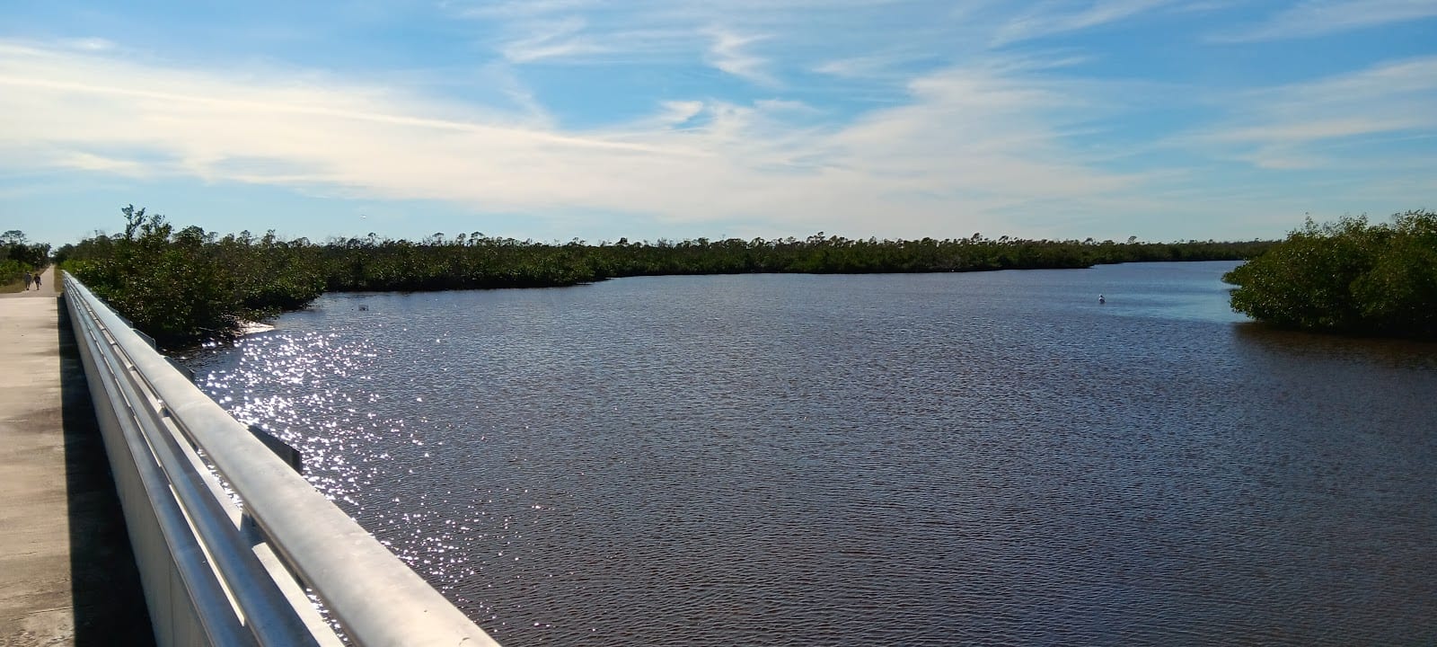 Cape Haze Trail North Parking, photo 2