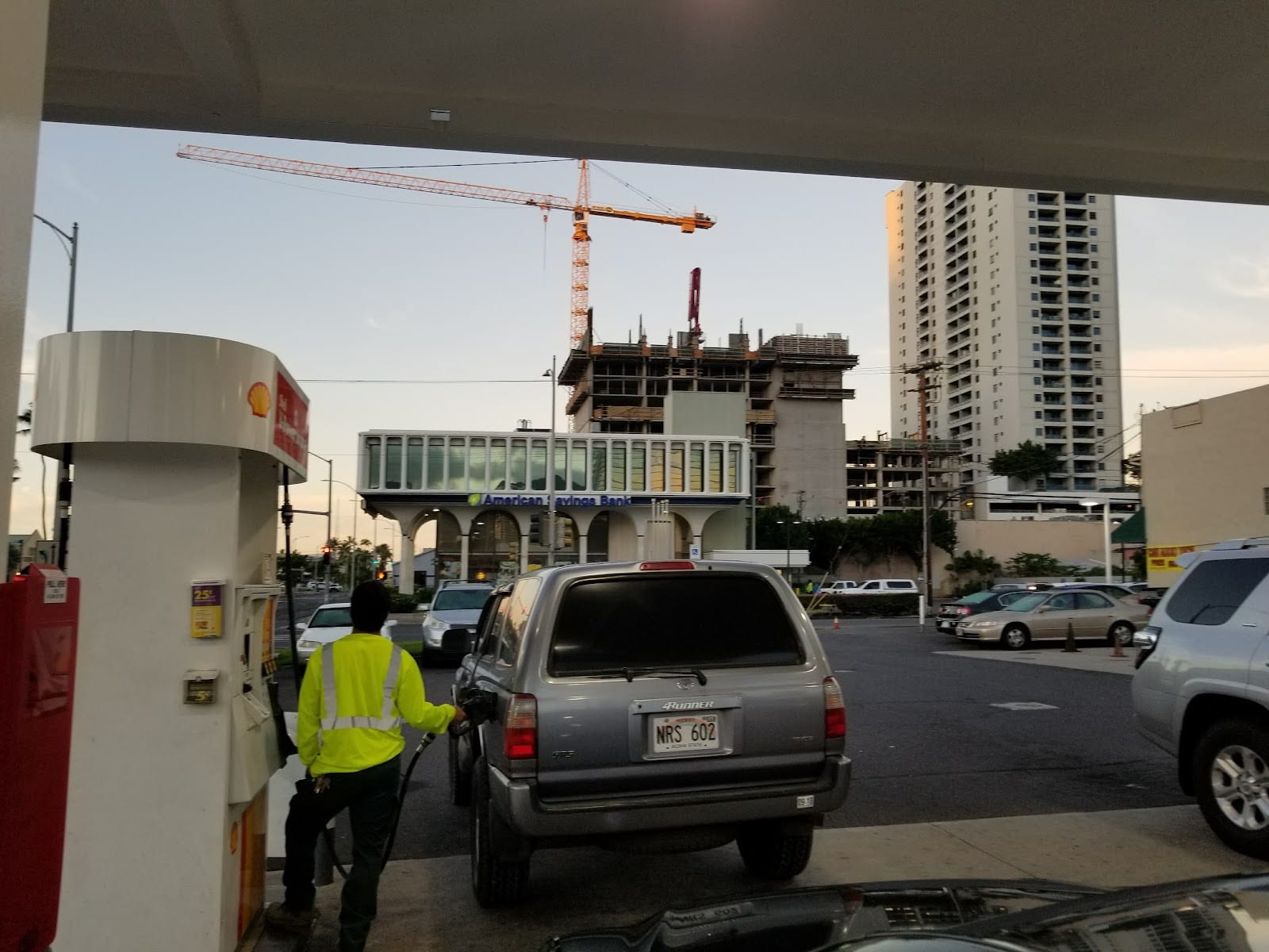 Shell, photo 3