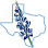 Bluebonnet Pediatric Dentistry
