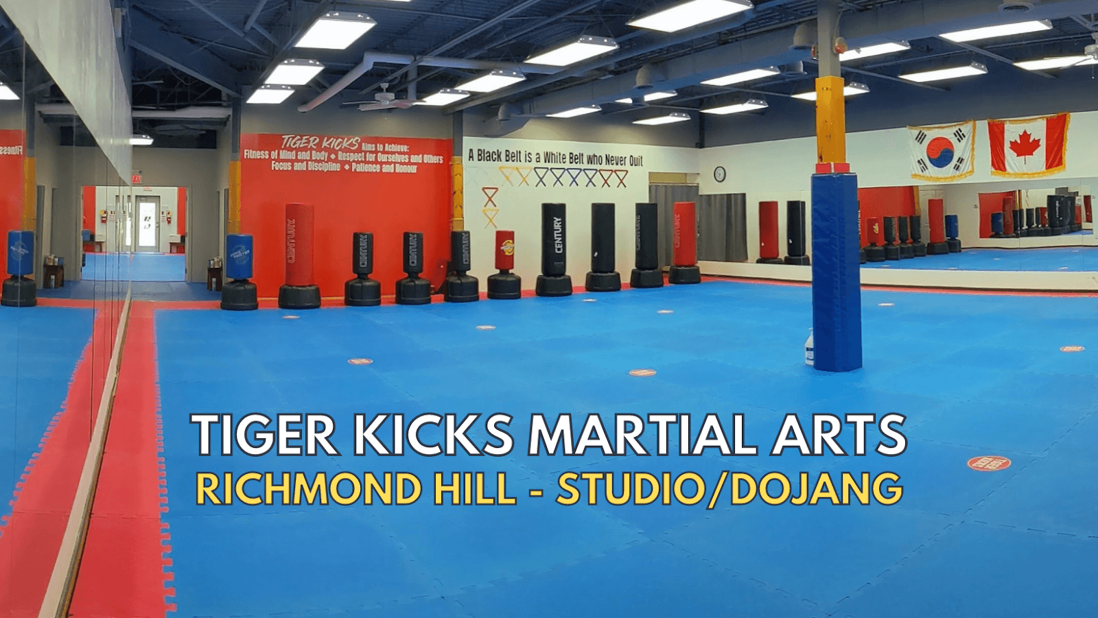 Tiger Kicks Martial Arts, photo 2