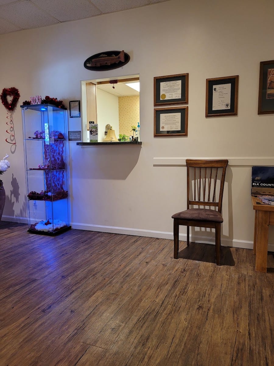 Brook Trout Dental, photo 2