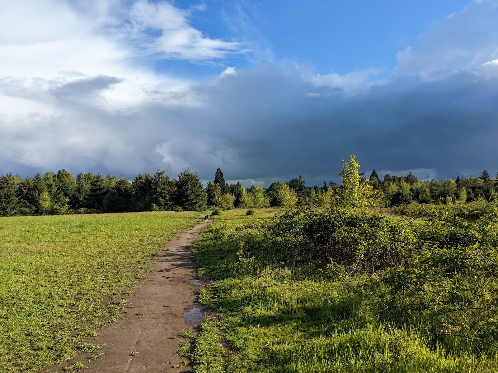 Furnberg Park, photo 3