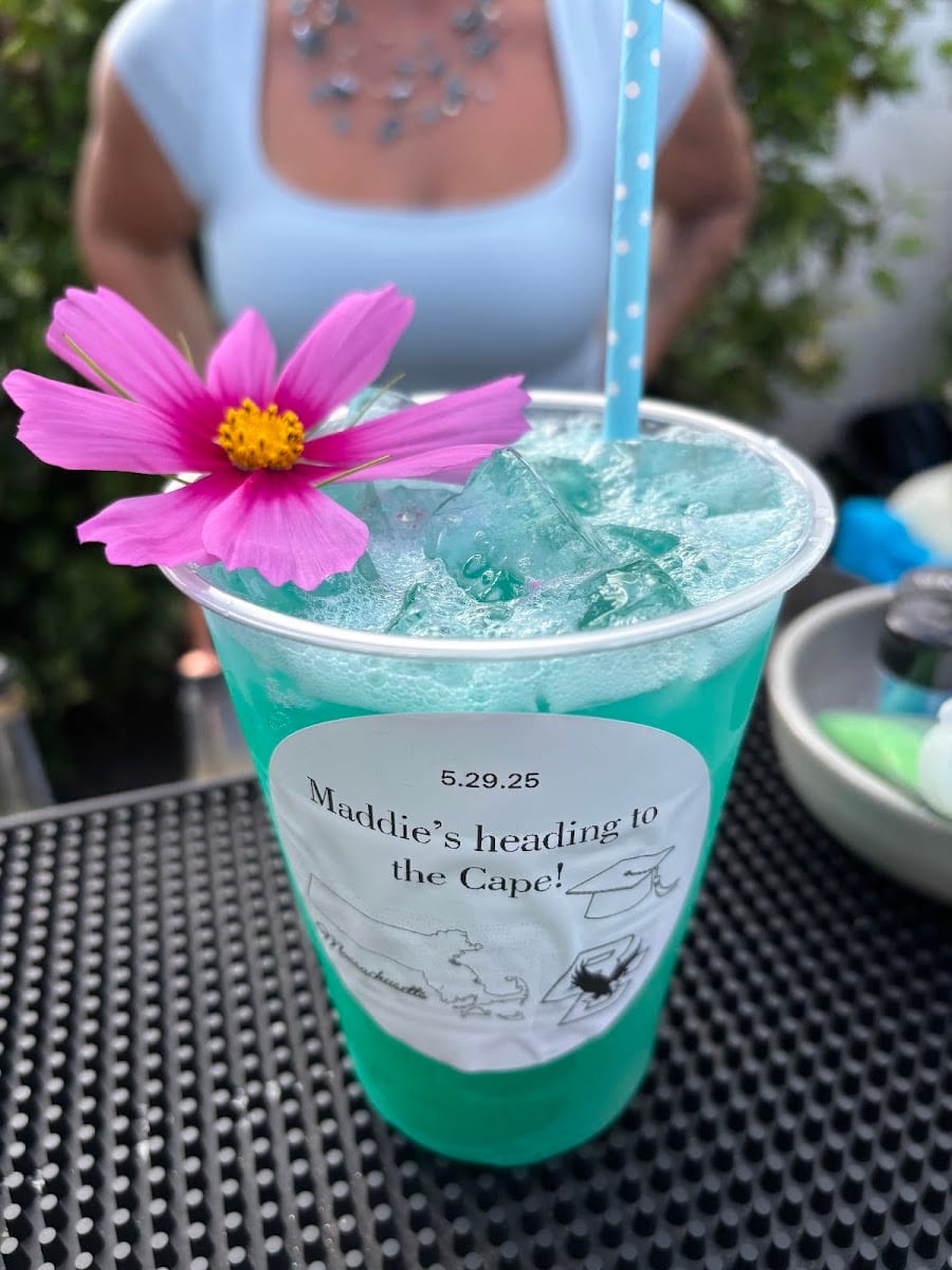 Nikki's Sandbar, photo 4