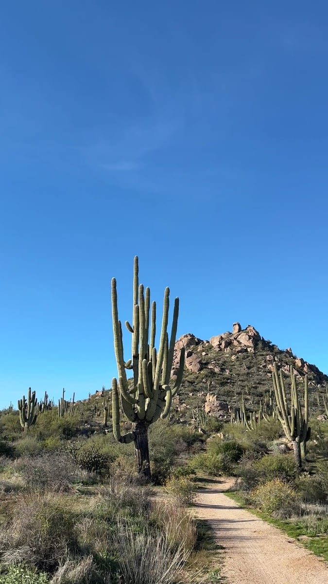 Fraesfield Trailhead - Scottsdale McDowell Sonoran Preserve, photo 2