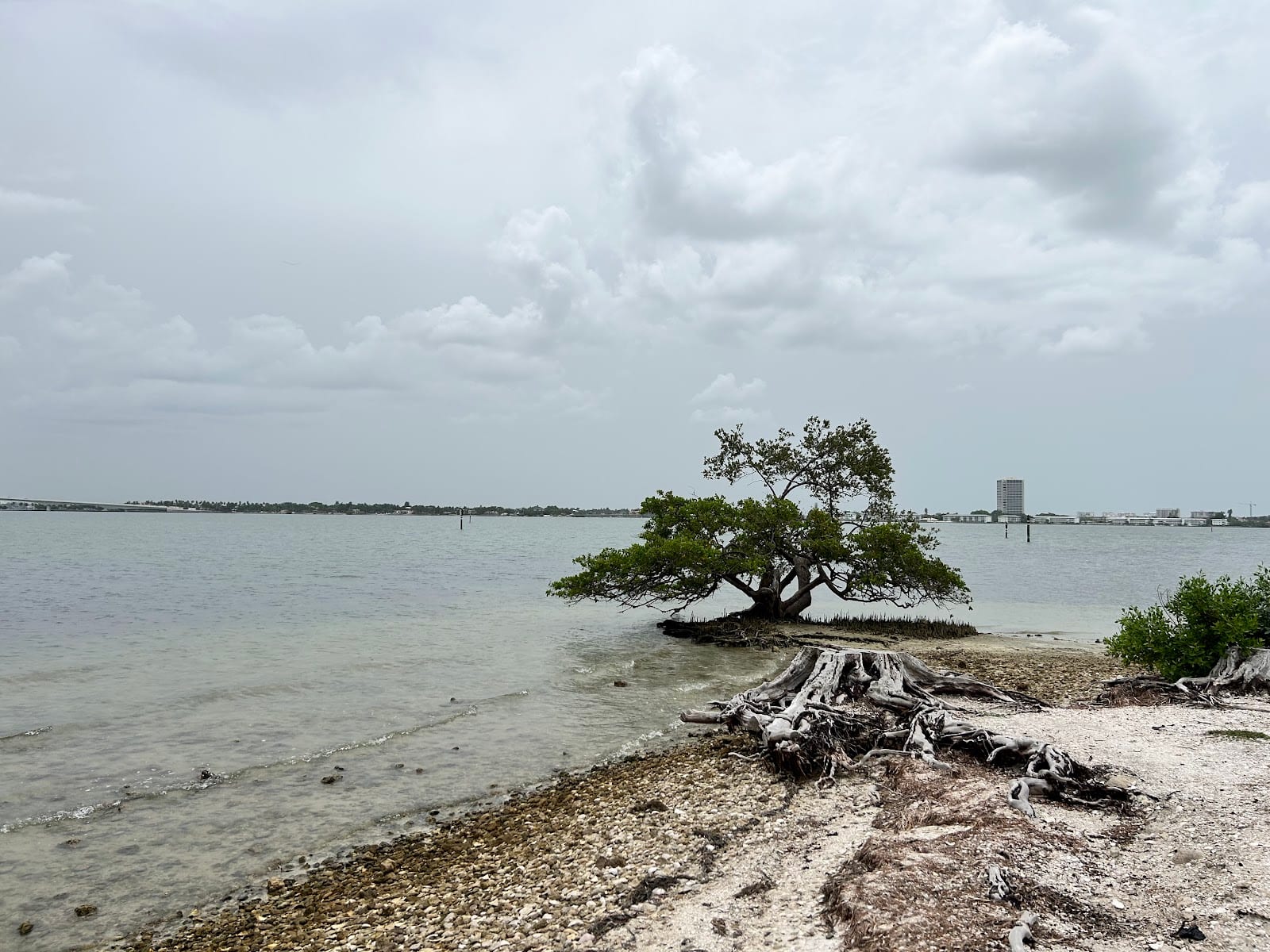 City Island