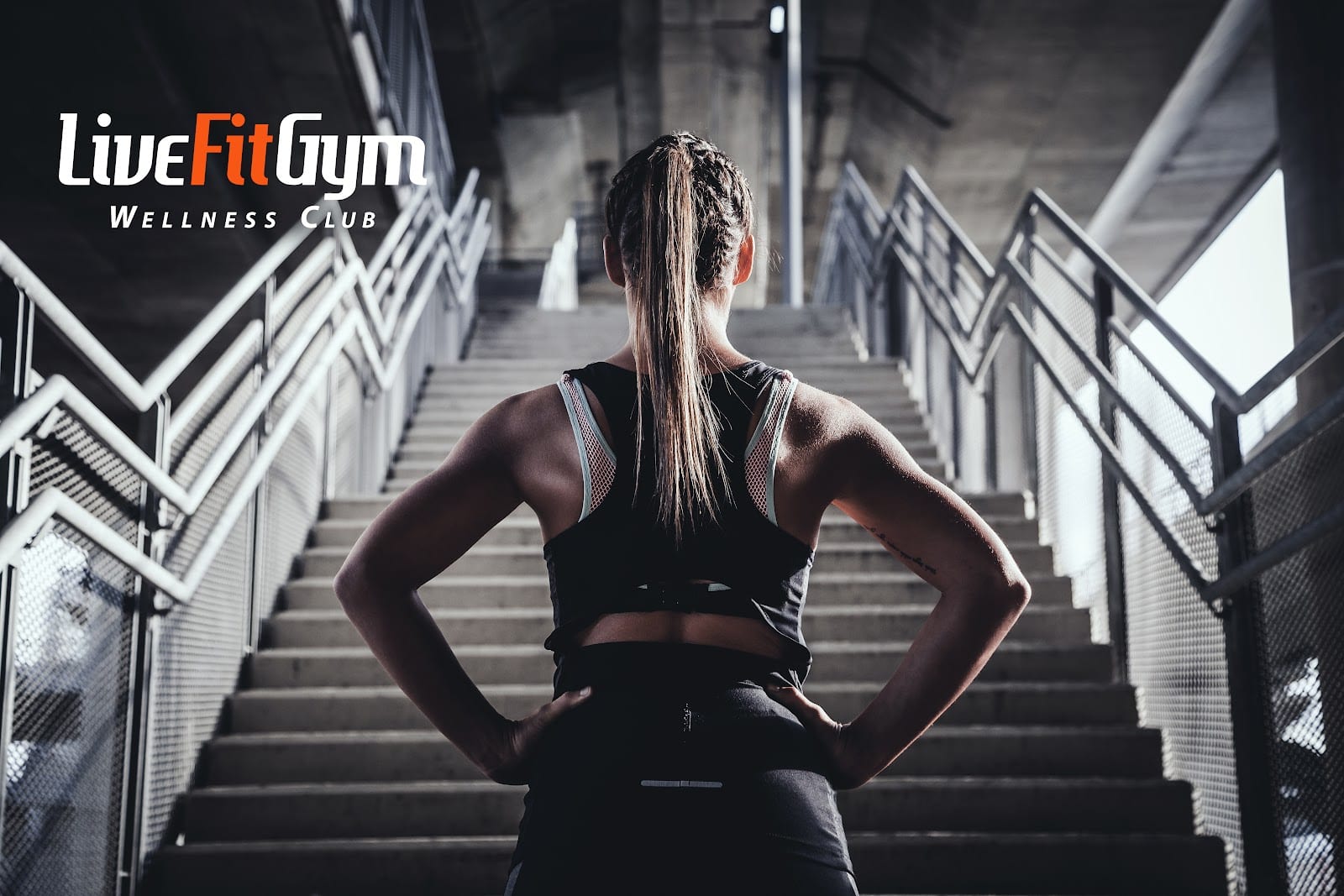 Live Fit Gym • Nob Hill, photo 2
