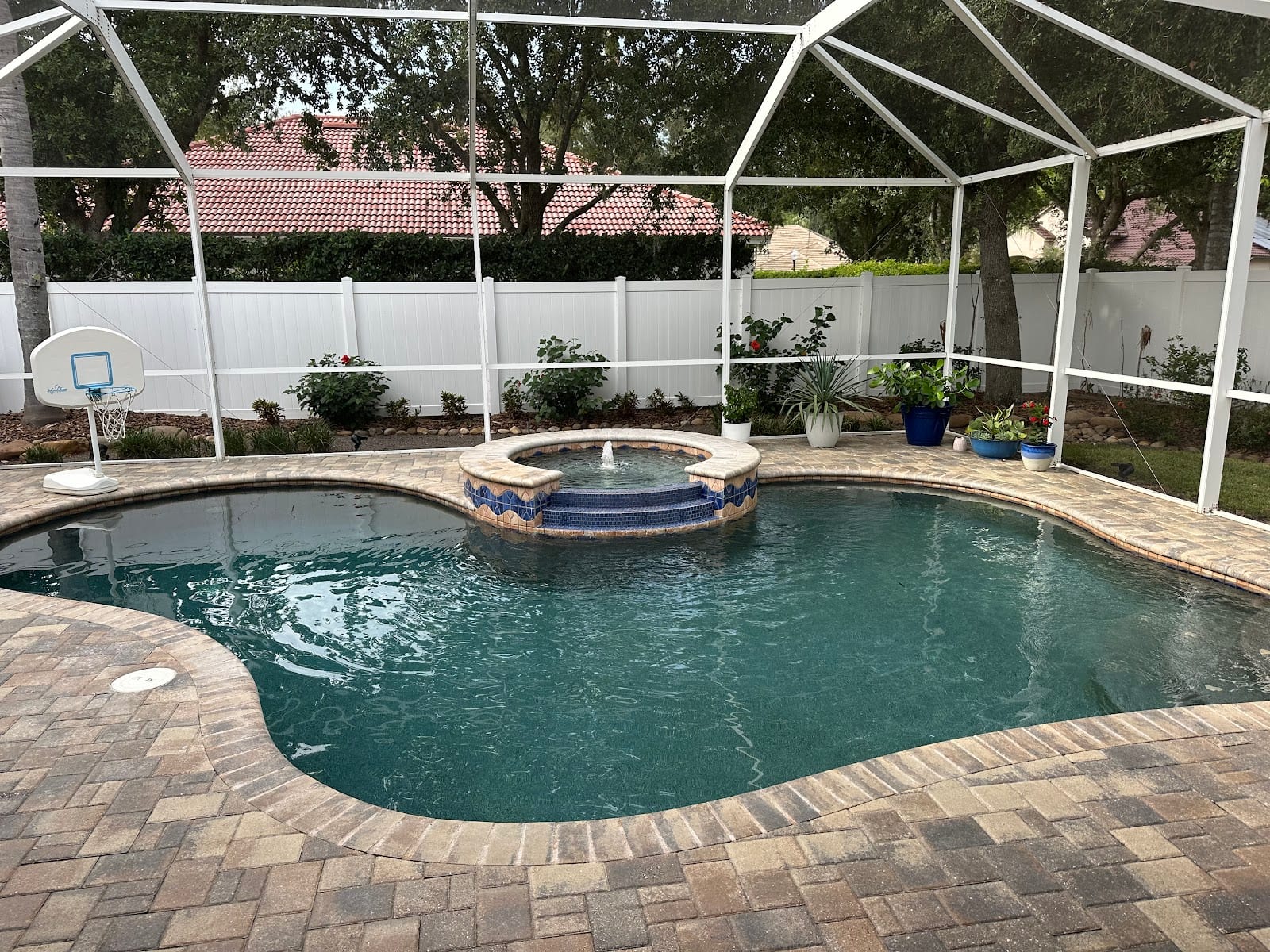 Juice Pools Tampa, photo 4