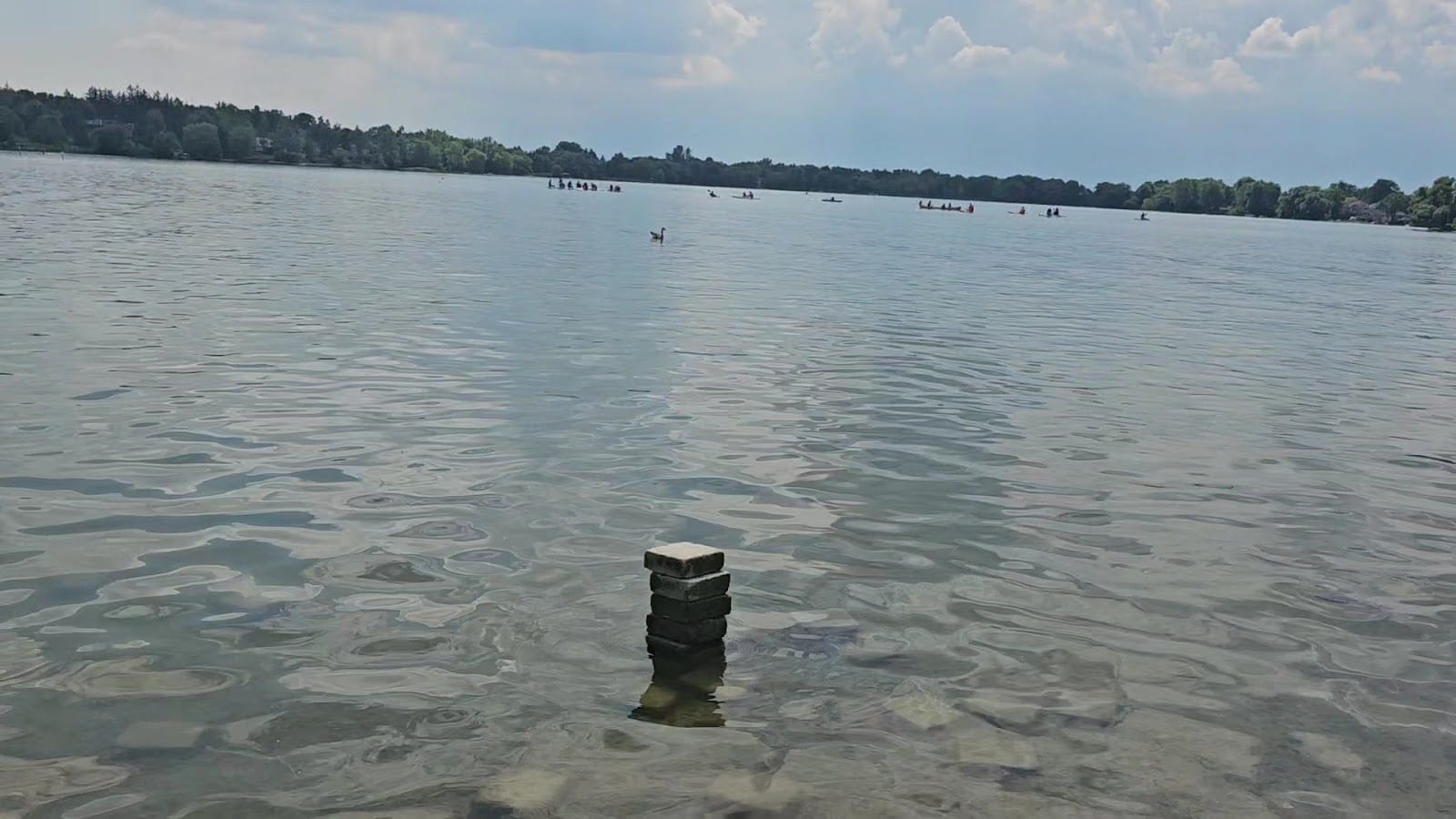 Lake Wilcox Park, photo 3