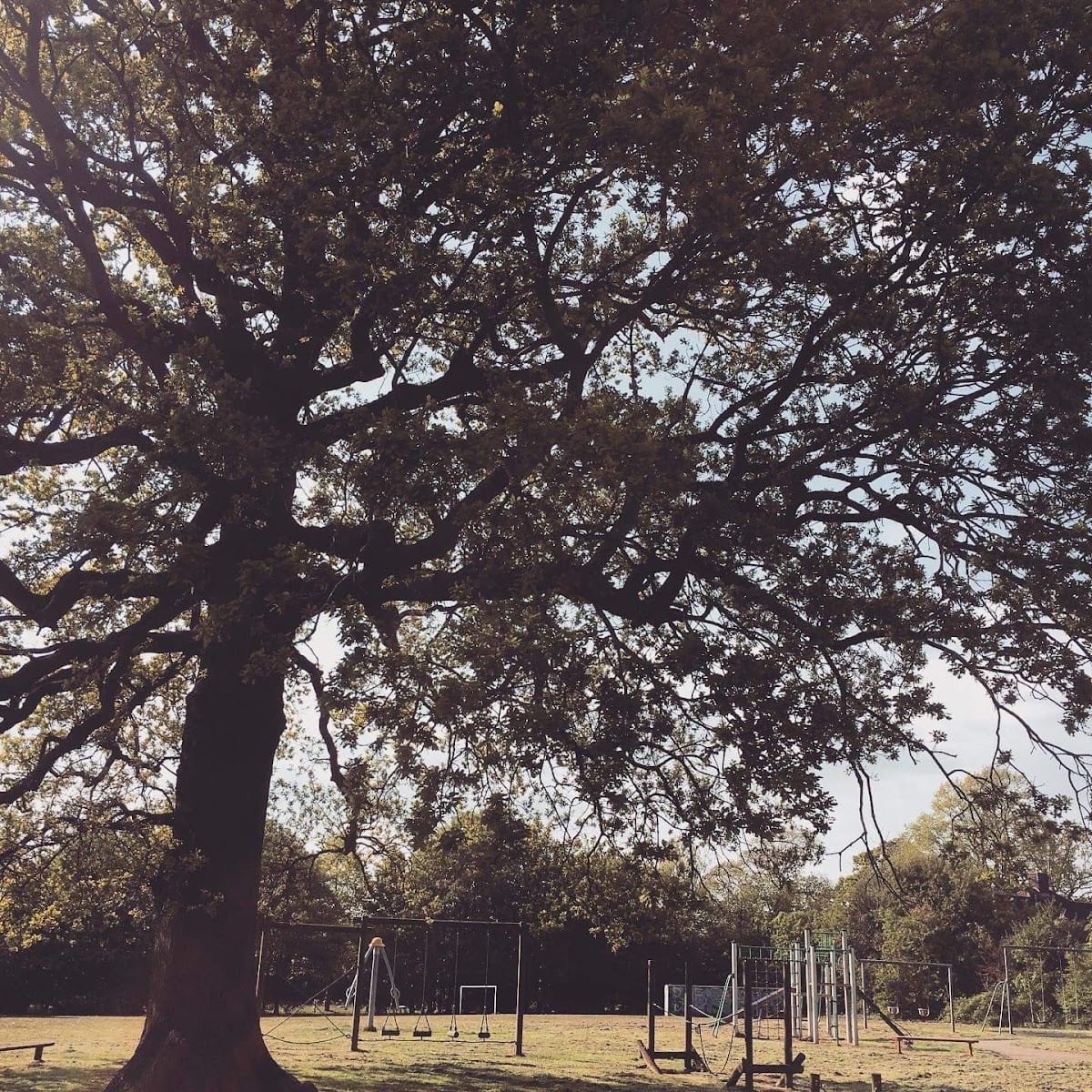Harford Park, photo 3