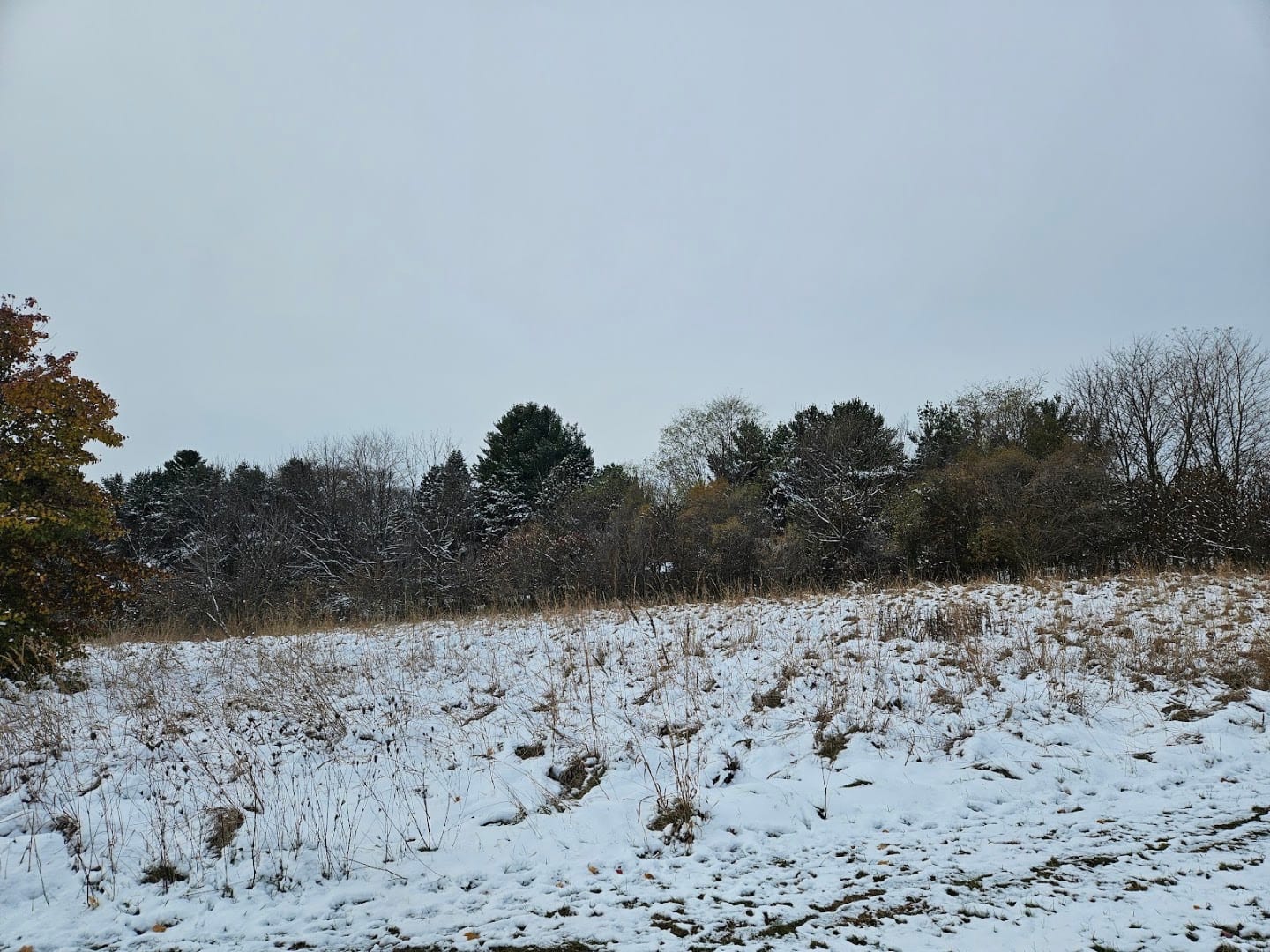 Riverside Park, photo 4