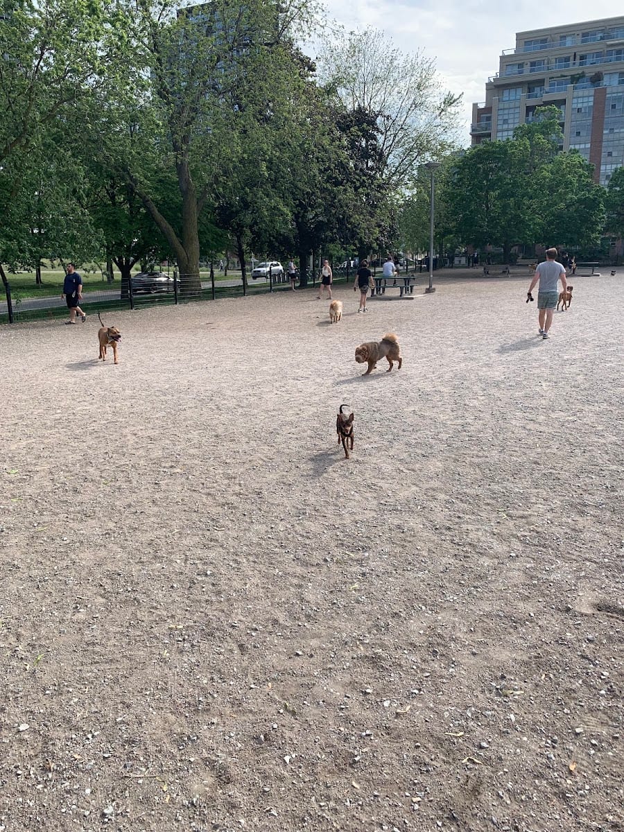 Stanley Off Leash Dog Park