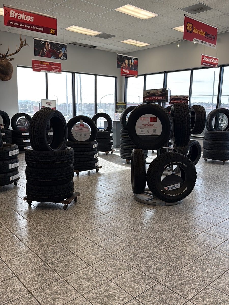 Big O Tires, photo 4