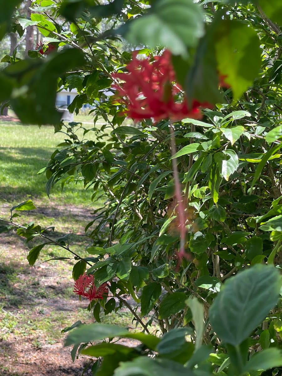 Freedom Park, photo 3
