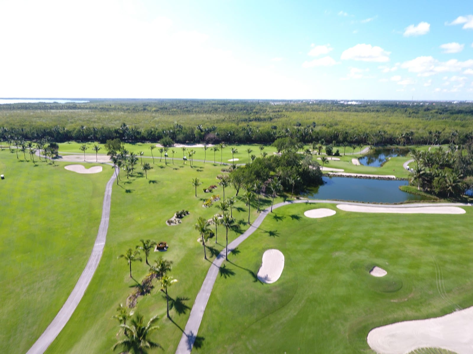 Caribbean Tee Times, photo 3