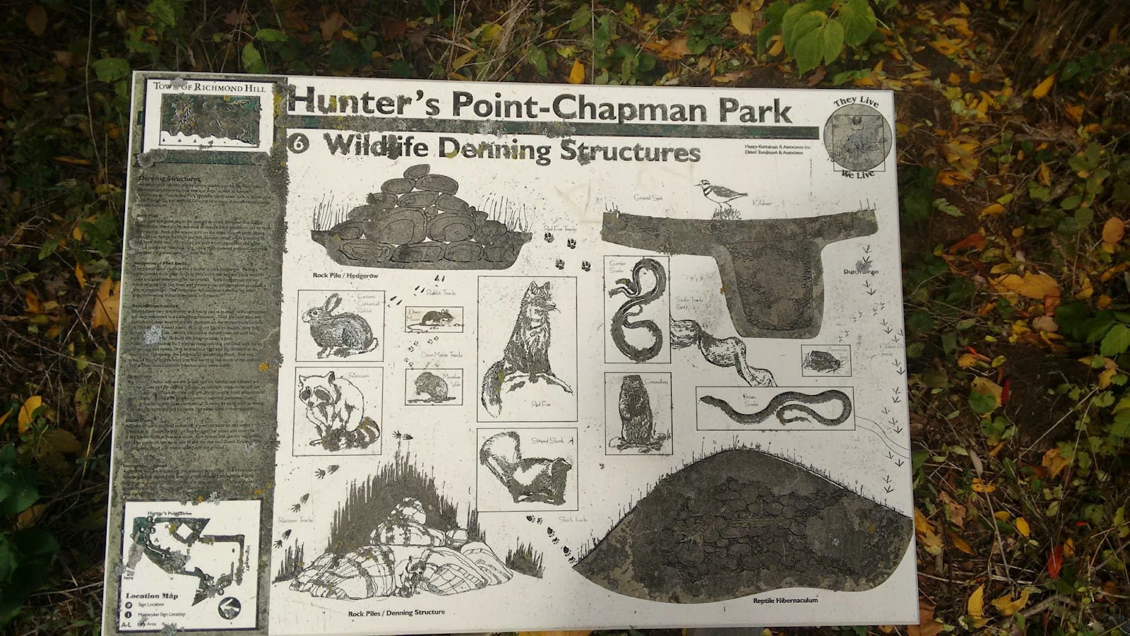Chapman Park, photo 3