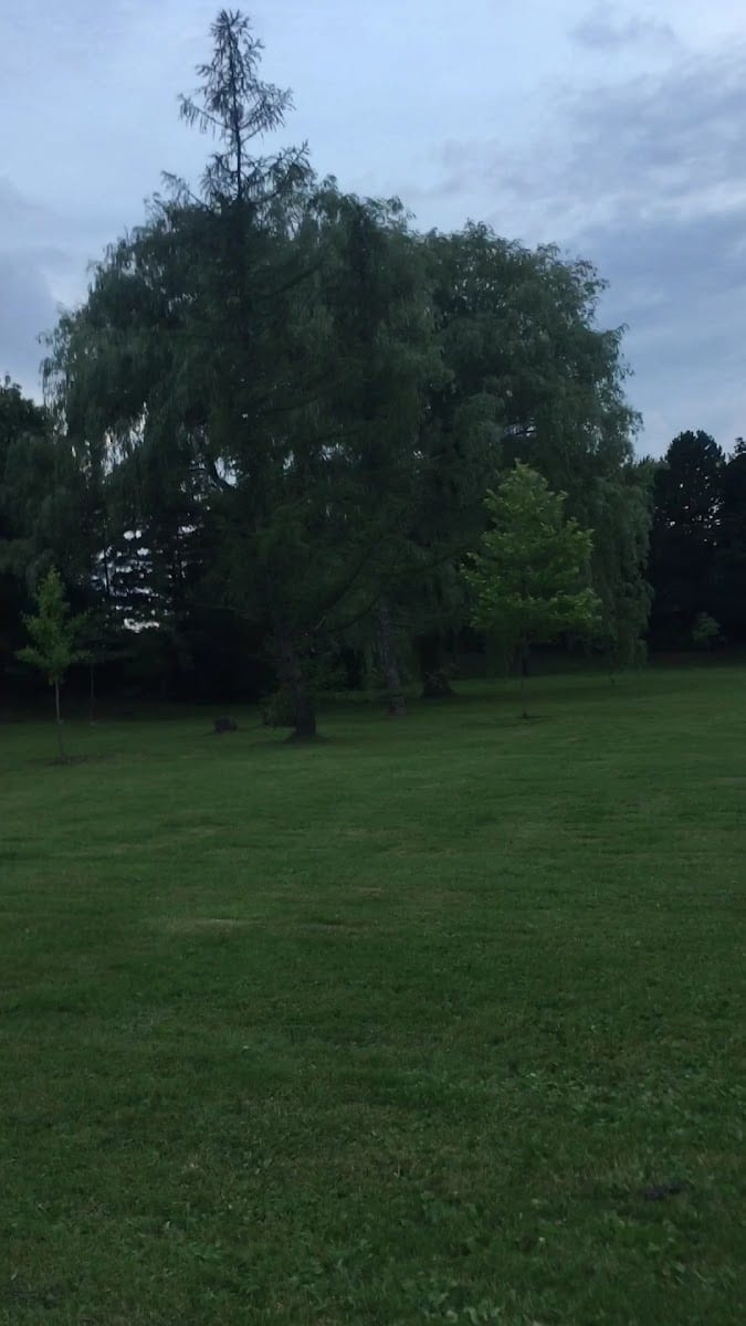 Ada Mackenzie Park, photo 2