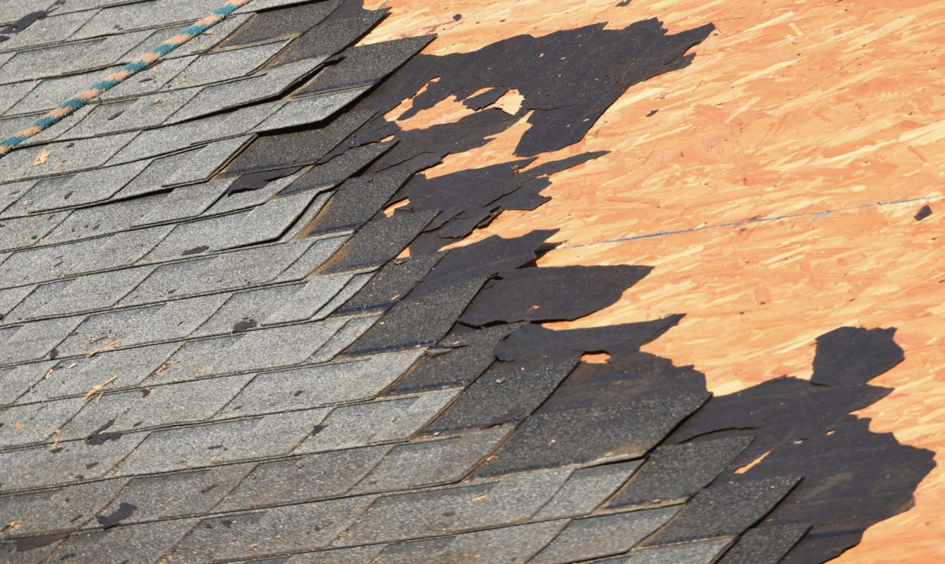 Tampa Roofing Repair, photo 3