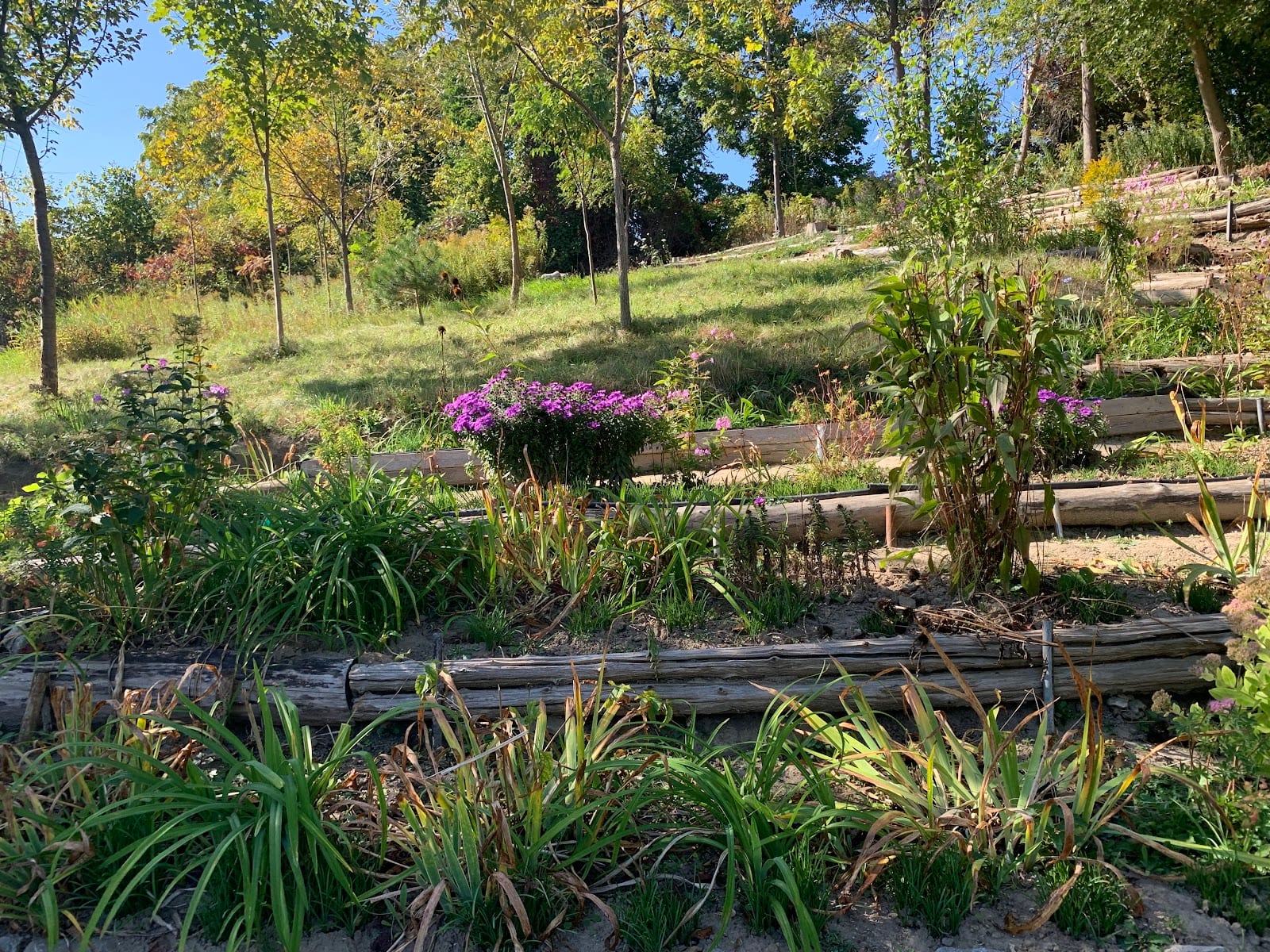 Black Creek Parkland, photo 3