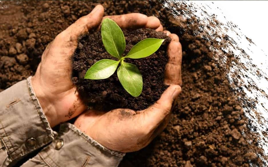 Healthy Roots Landscaping, photo 2