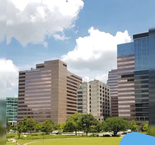 Texas Medical Center, photo 2