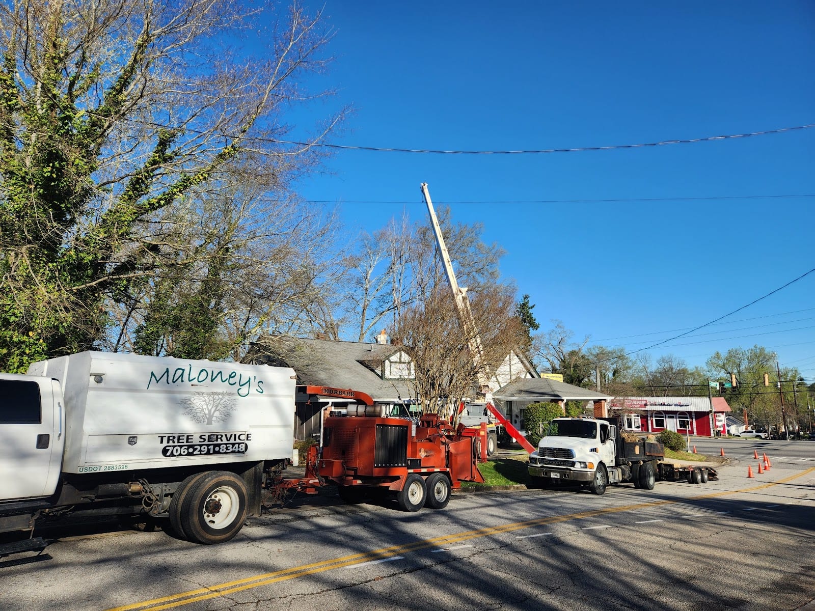 Maloney's Tree Service, photo 4