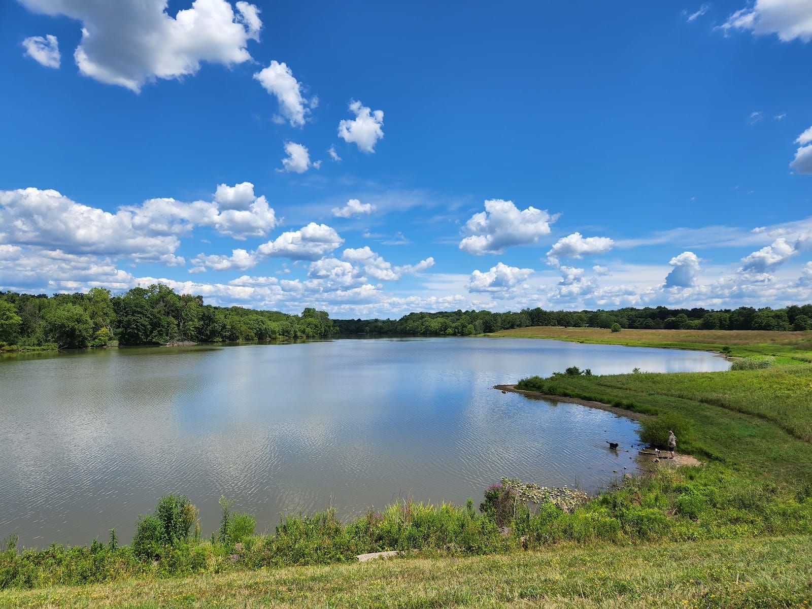 Pine Run Reservoir Parking