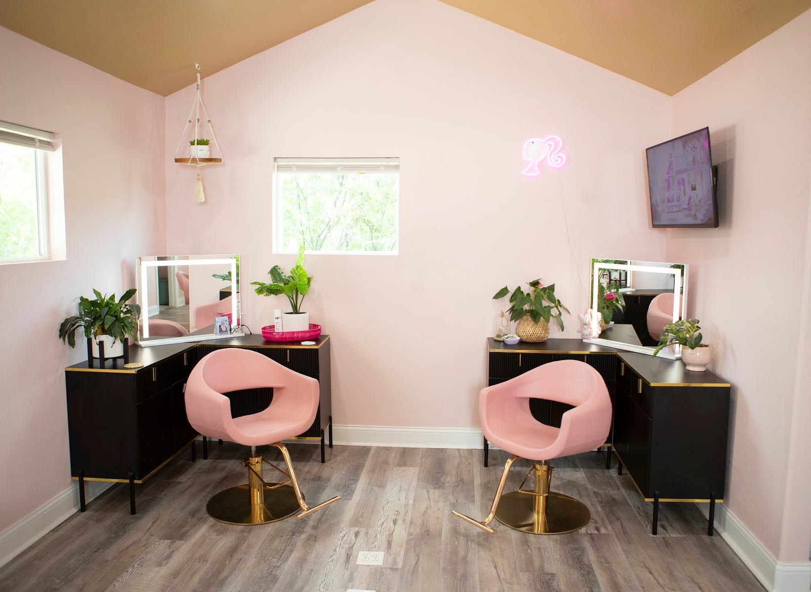 Painted Manes Salon