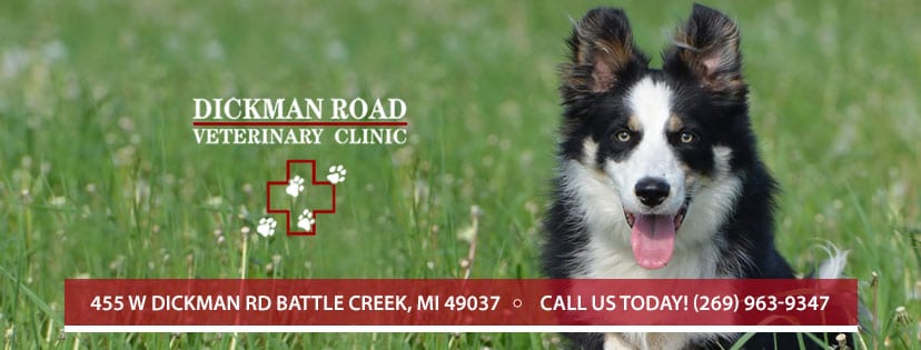 Dickman Road Veterinary Clinic