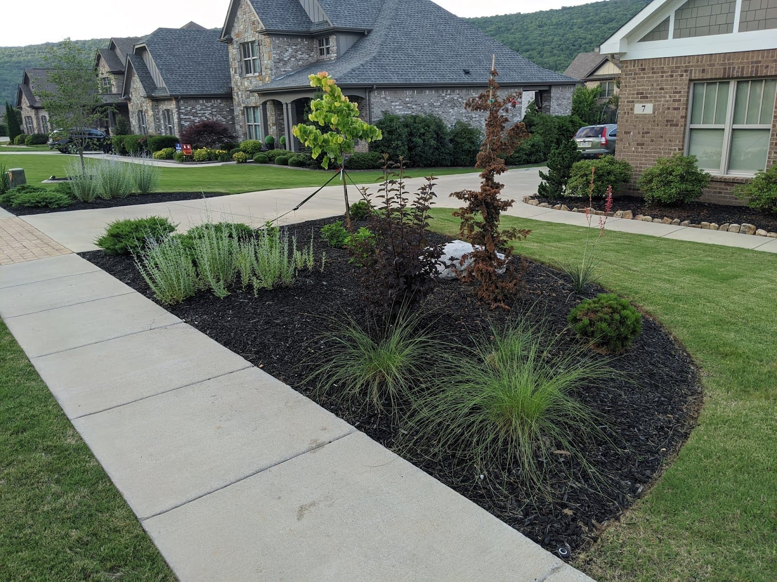 Southern Scape, LLC