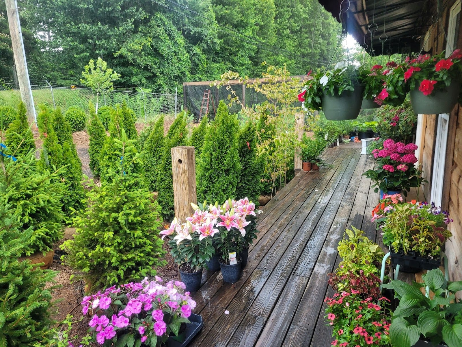 24 Landscape Supply, photo 4
