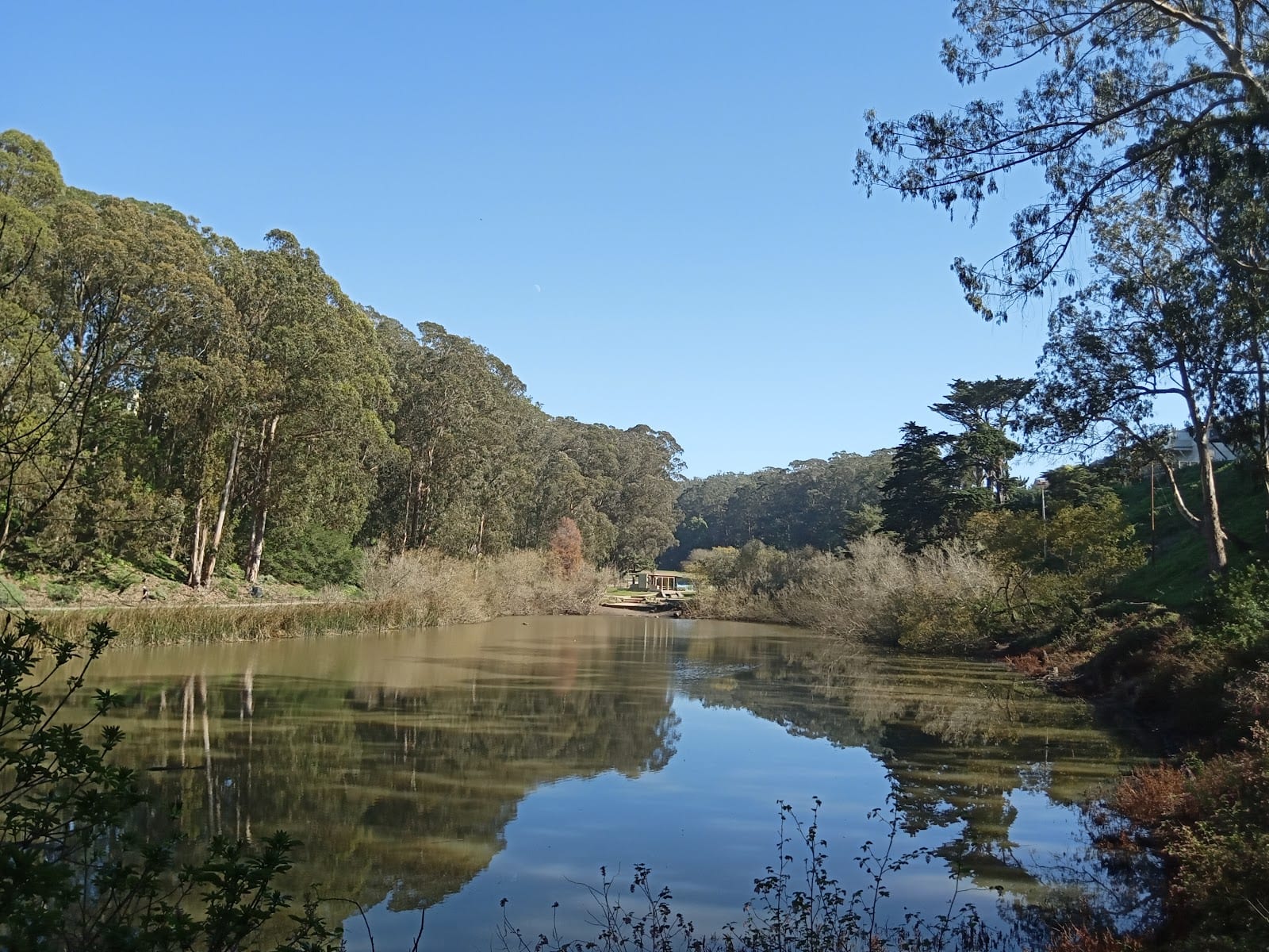 Pine Lake Park