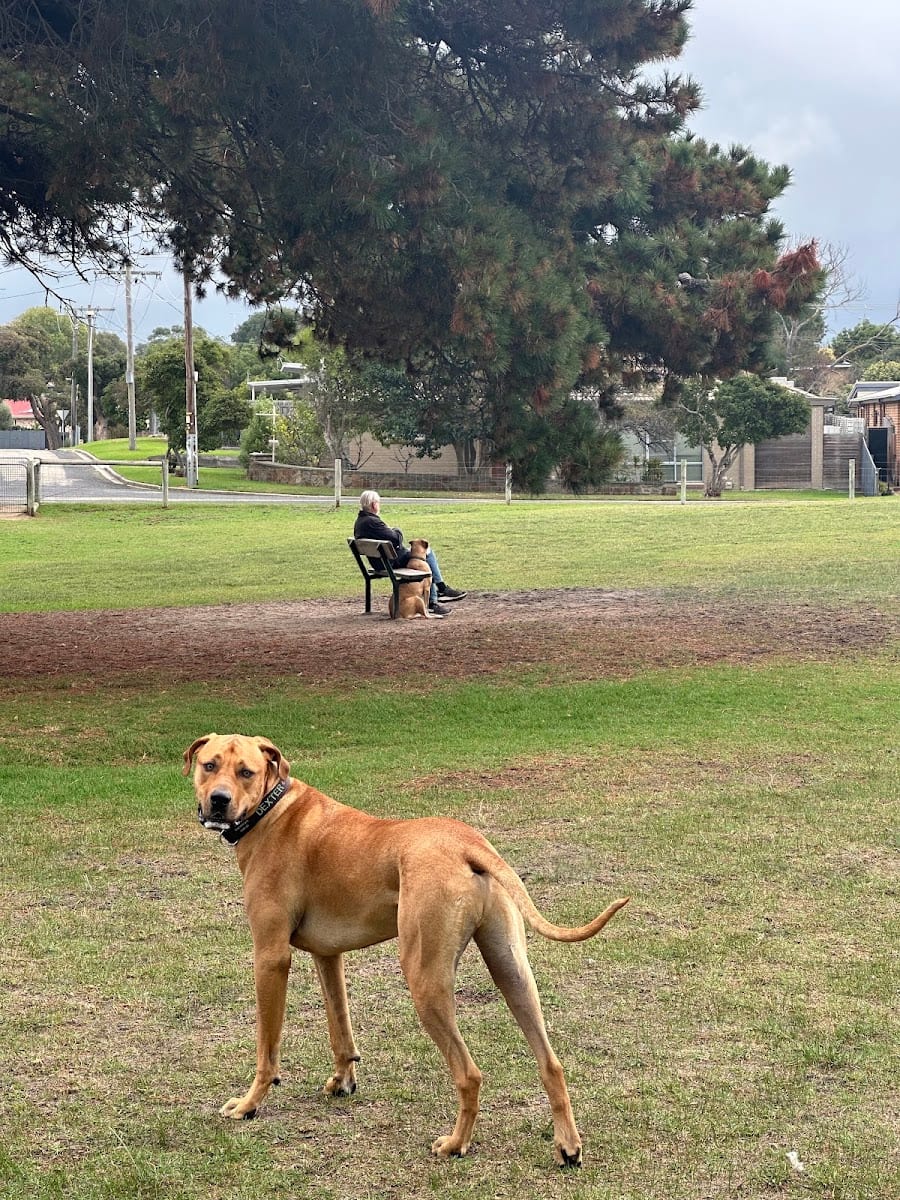 Murrowong dog park