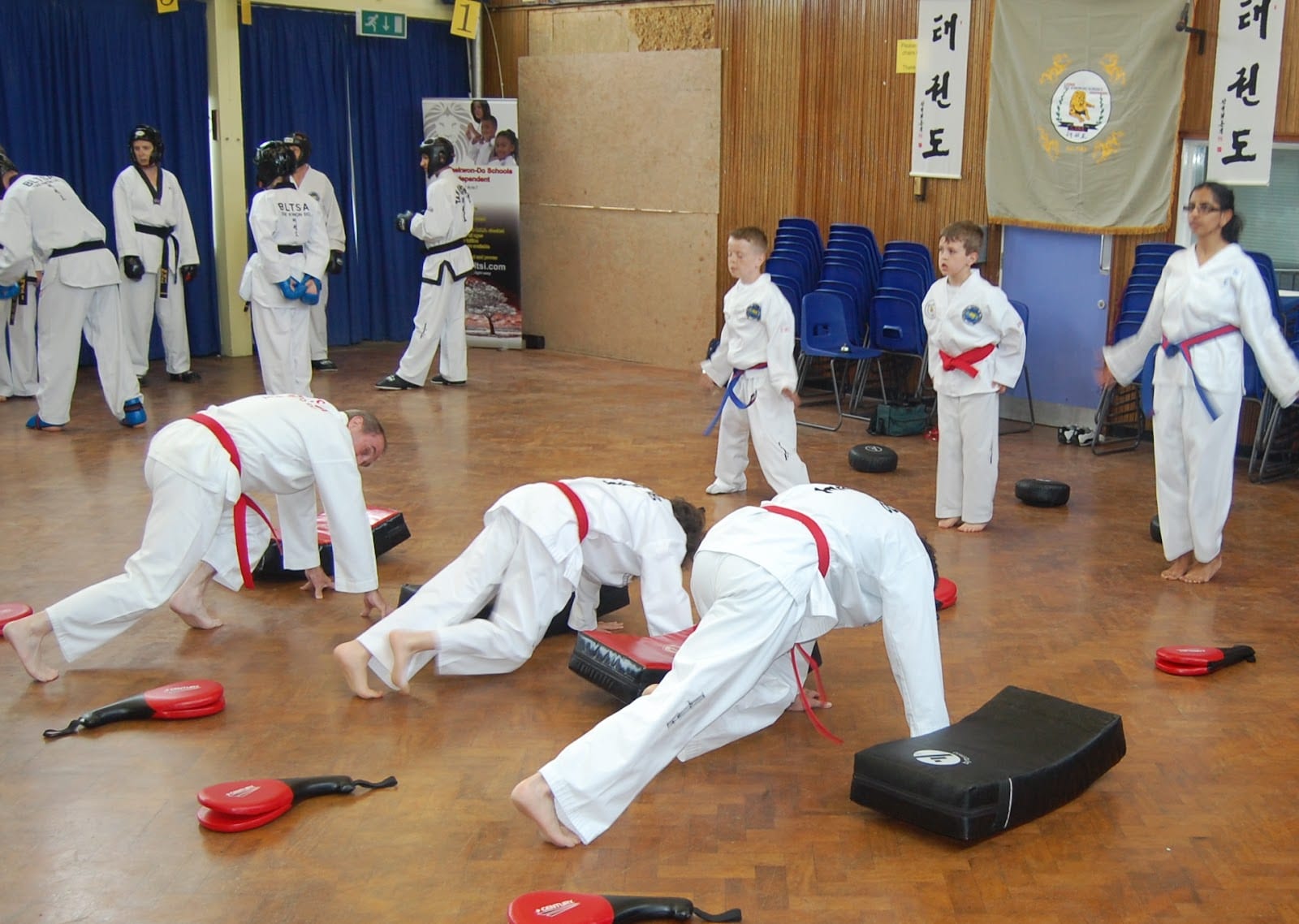 St Albans TaeKwon-Do, photo 2