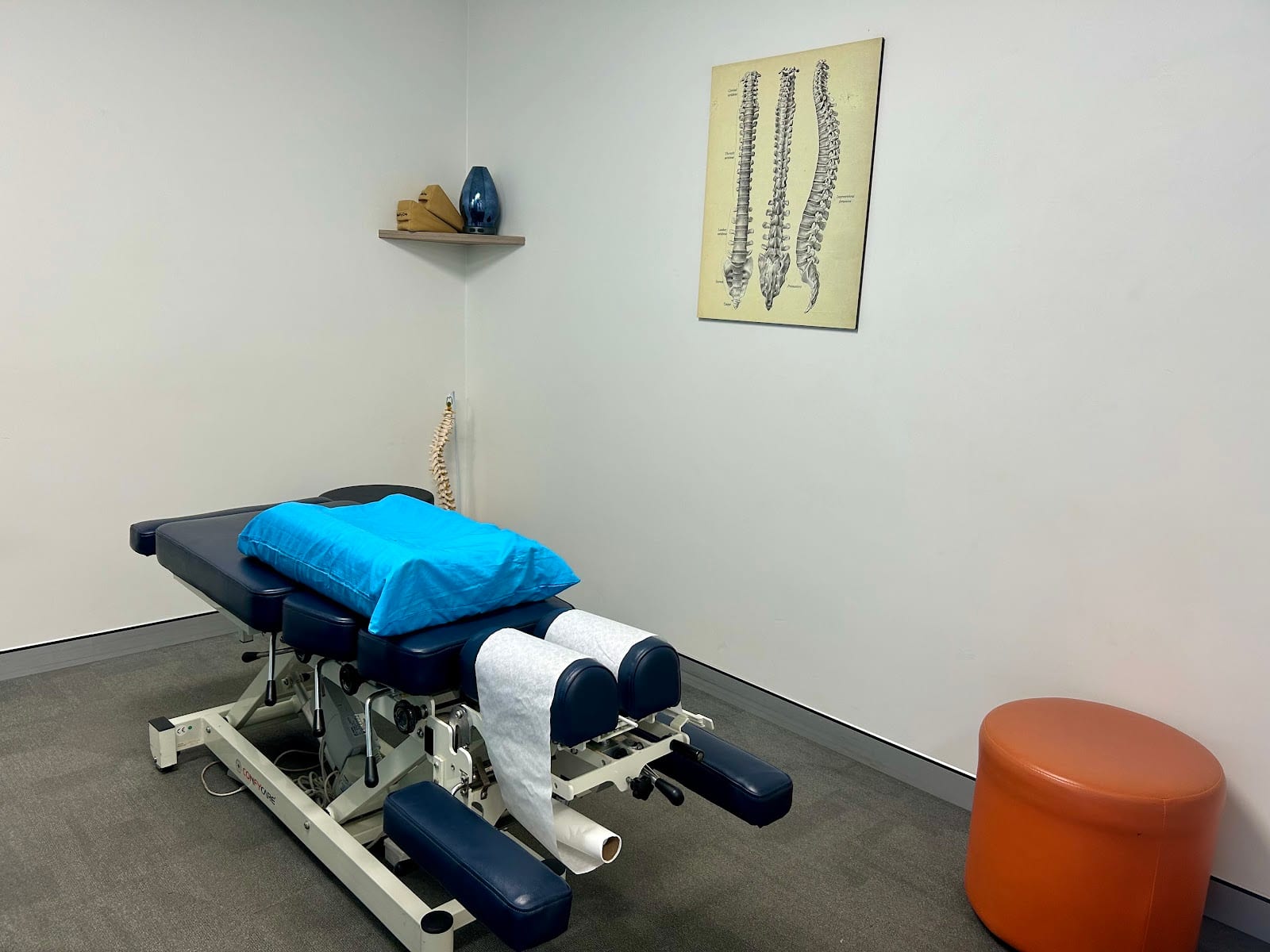 Grays Chiropractic & Wellness, photo 2