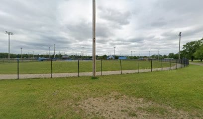AnyBodies Playground