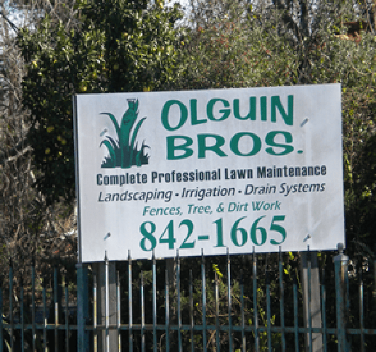 Olguin Bros. Landscape and Irrigation, photo 4