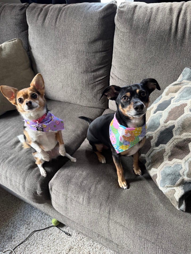 Eva’s Paw Spa LLC