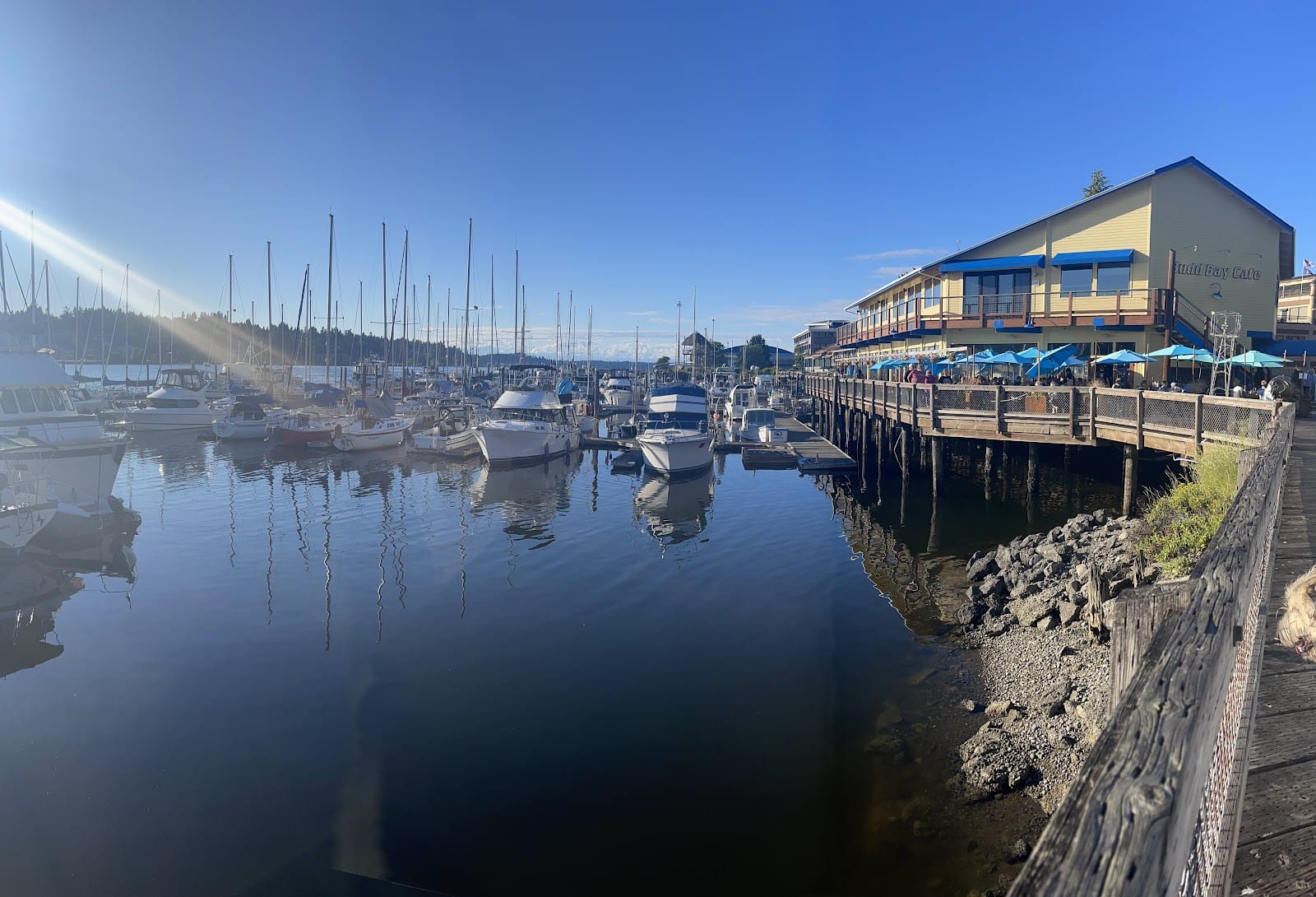 Budd Bay Cafe, photo 4